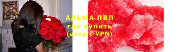 spice Алзамай
