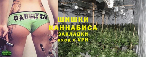 spice Алзамай