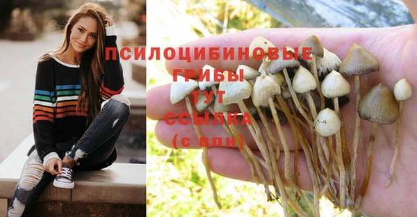 молекула духа Алексин