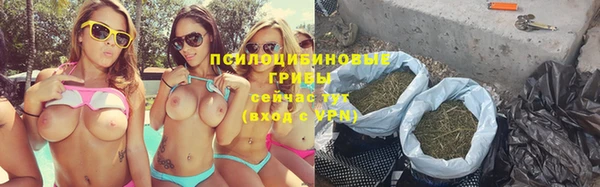 spice Алзамай