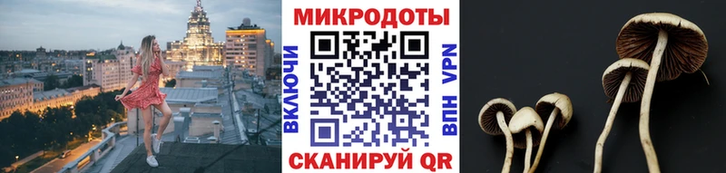 Псилоцибиновые грибы Magic Shrooms  Харовск 
